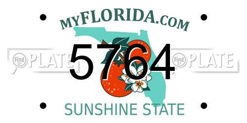 5764 Florida License Plate