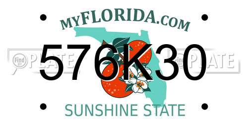 576K30 Florida License Plate