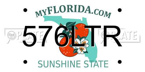 576LTR Florida License Plate
