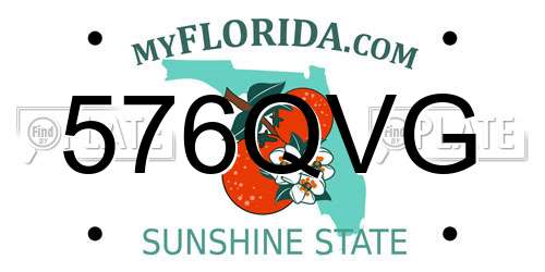 576QVG Florida License Plate