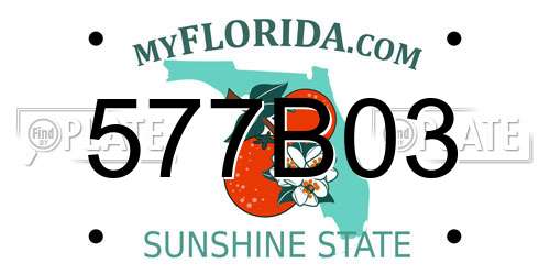 577B03 Florida License Plate