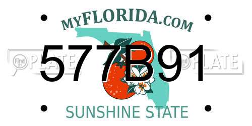 577B91 Florida License Plate