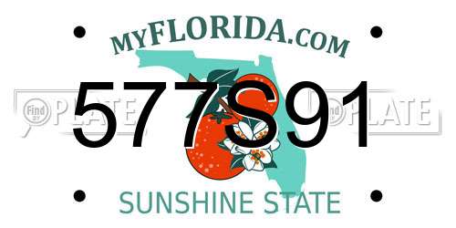 577S91 Florida License Plate
