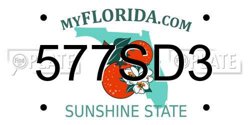 577SD3 Florida License Plate