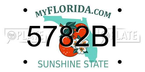 5782BI Florida License Plate