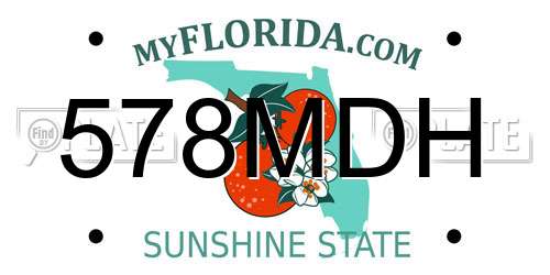 578MDH Florida License Plate