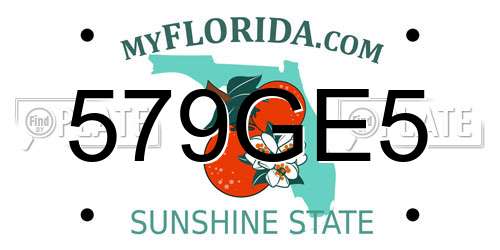 579GE5 Florida License Plate