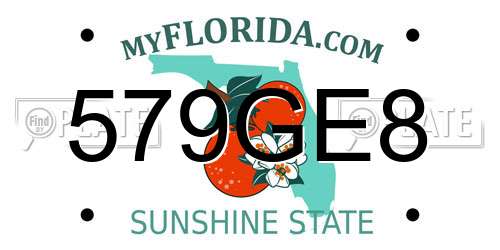 579GE8 Florida License Plate