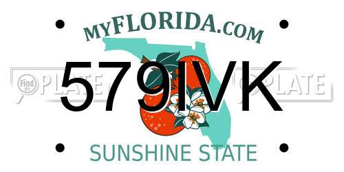 579IVK Florida License Plate
