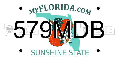 579MDB Florida License Plate