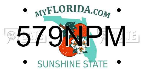 579NPM Florida License Plate