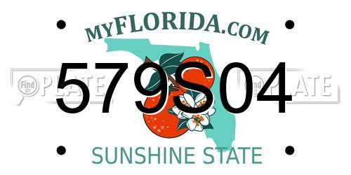 579S04 Florida License Plate