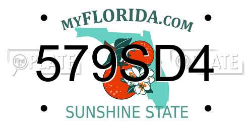 579SD4 Florida License Plate