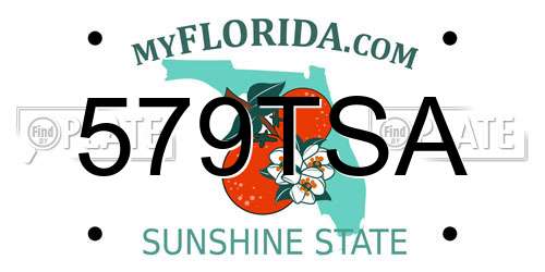 579TSA Florida License Plate