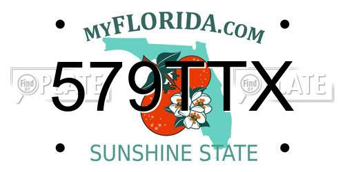 579TTX Florida License Plate
