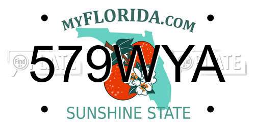 579WYA Florida License Plate