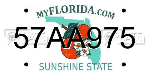 57AA975 Florida License Plate