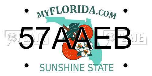 57AAEB Florida License Plate