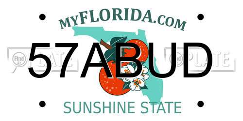 57ABUD Florida License Plate