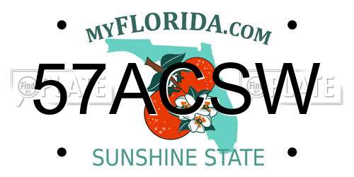 57ACSW Florida License Plate