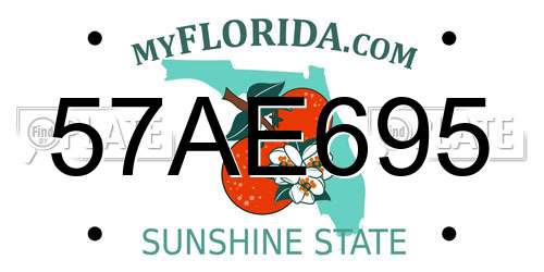 57AE695 Florida License Plate
