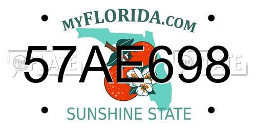 57AE698 Florida License Plate
