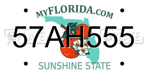 57AH555 Florida License Plate