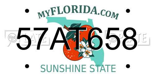 57AT658 Florida License Plate