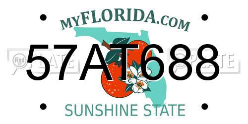 57AT688 Florida License Plate