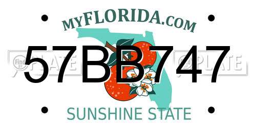 57BB747 Florida License Plate