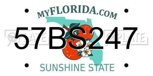 57BS247 Florida License Plate