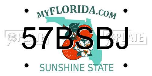 57BSBJ Florida License Plate