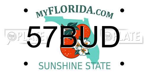 57BUD Florida License Plate