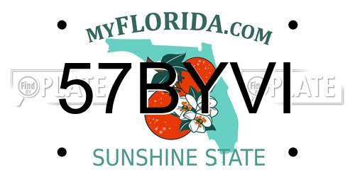 57BYVI Florida License Plate