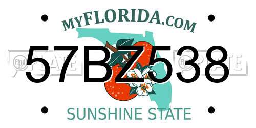 57BZ538 Florida License Plate