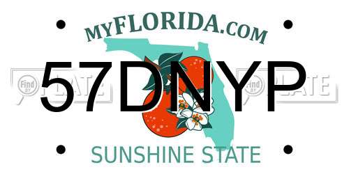 57DNYP Florida License Plate