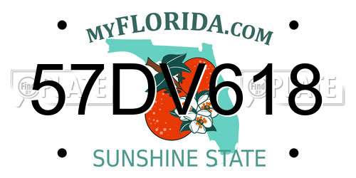 57DV618 Florida License Plate