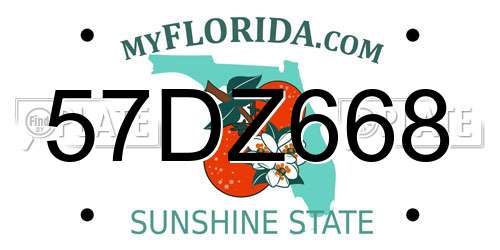 57DZ668 Florida License Plate
