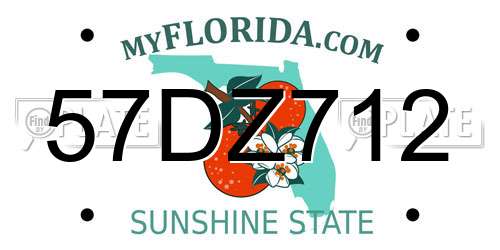 57DZ712 Florida License Plate