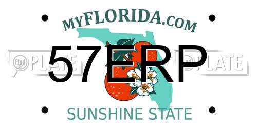 57ERP Florida License Plate
