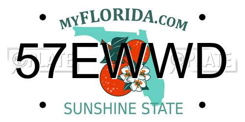 57EWWD Florida License Plate