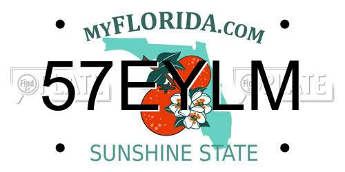 57EYLM Florida License Plate