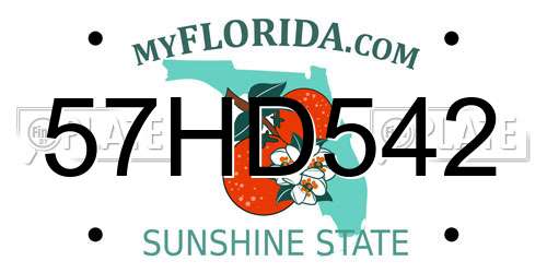57HD542 Florida License Plate
