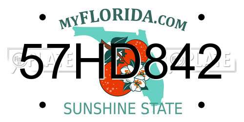 57HD842 Florida License Plate