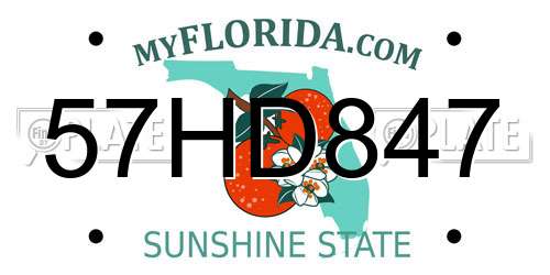 57HD847 Florida License Plate