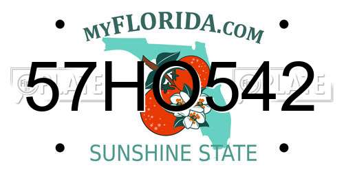 57HO542 Florida License Plate