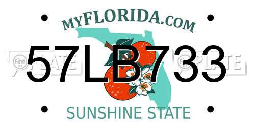 57LB733 Florida License Plate