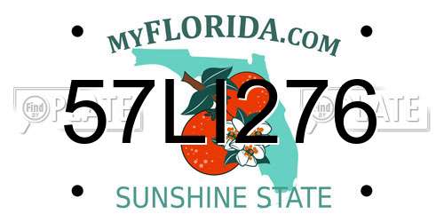 57LI276 Florida License Plate