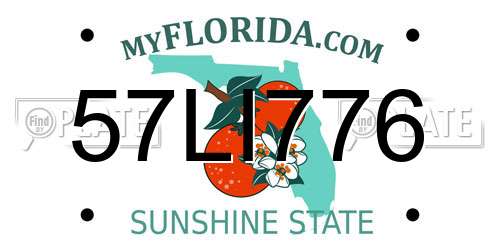 57LI776 Florida License Plate