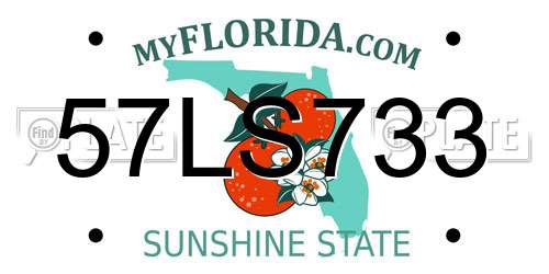 57LS733 Florida License Plate